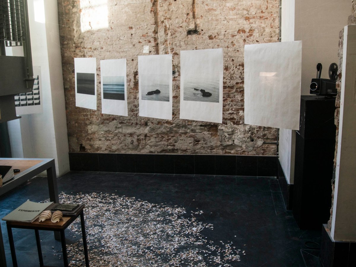 thomas-meijerman_dsc0584