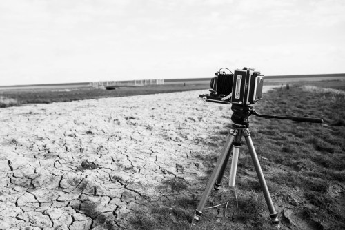 Thomas Meijerman_DSC2599